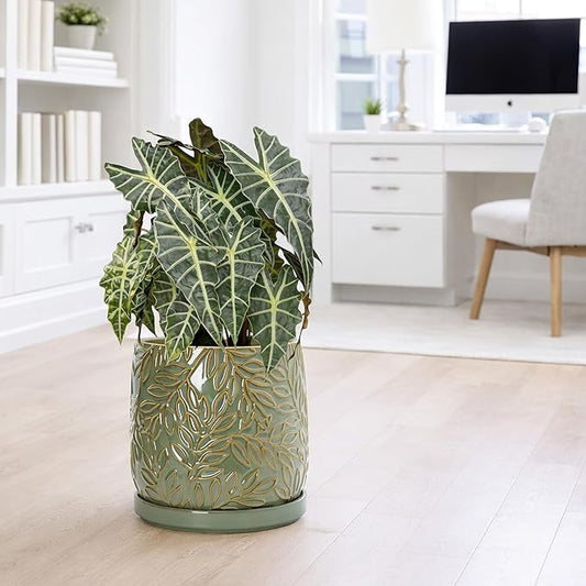 D'vine Dev 10 Inch Embossed Leaves Stoneware Planter Pot with Drainage Hole and Saucer, Olive, 27-A-P-0