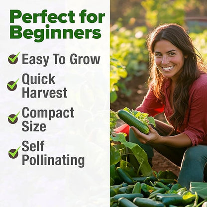 HOME GROWN Non GMO Persian Cucumber Seeds 50+ Heirloom Non-GMO, High-Yielding Beit Alpha Variety | Fast Growing, Sweet Tender Skin, Home Vegetable Garden Seeds (Cucumis sativus)