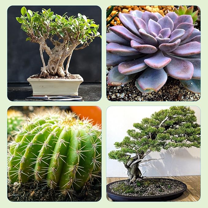 Doter Bonsai Soil Mix Ready to Use (1qt), Premium Fast Draining Organic All Purpose Potting Mix for All Varieties of Bonsai