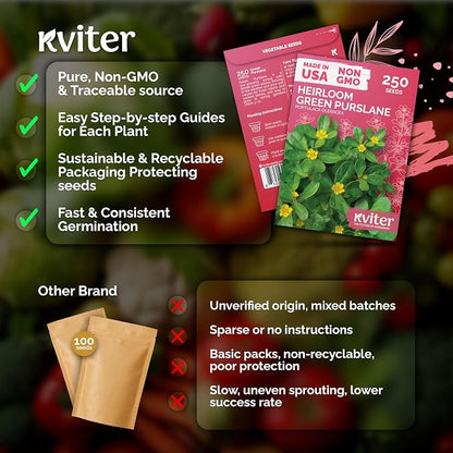 KVITER 250 Purslane Seeds (Portulaca Oleracea Sativa) - Green Purslane, Edible, Heat Tolerant Greens, Non GMO, Heirloom Seed - Herb Seeds in Seed Packets for Containers, Gardens, Indoors and Outdoors