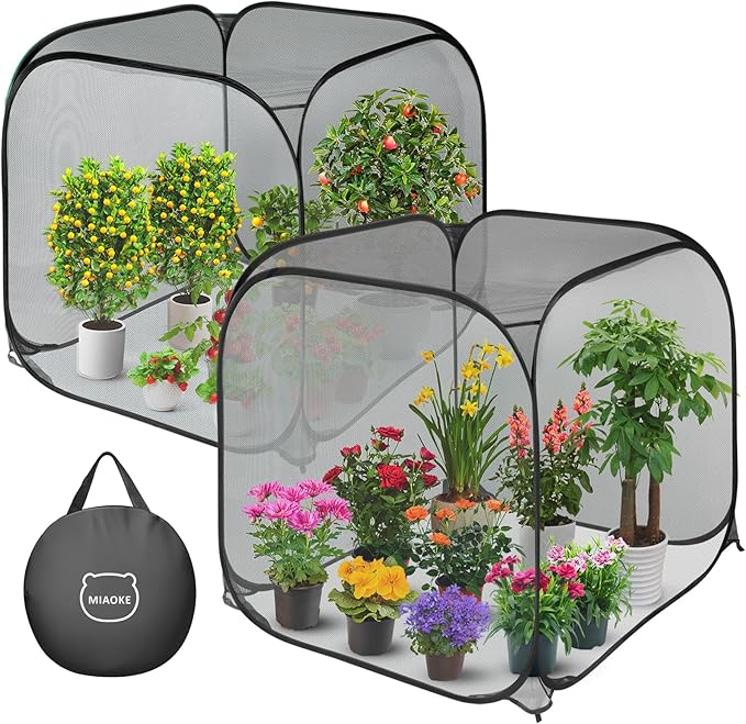 MIAOKE 2 Pack Pop Up Mesh Plant Cover, 35.4x35.4x38.2 Inch No Build Protection Against Insects Garden Netting, Raised Bed Cover for Barrier Against Insects for Vegetable Plant Fruit Animals-Black