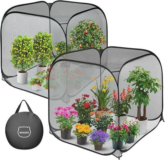 MIAOKE 2 Pack Pop Up Mesh Plant Cover, 35.4x35.4x38.2 Inch No Build Protection Against Insects Garden Netting, Raised Bed Cover for Barrier Against Insects for Vegetable Plant Fruit Animals-Black