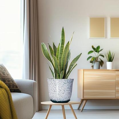 Ceramic Pots for Plants - 8 Inch Plant Pot for Indoor Outdoor, Round Flower Pot with Drainage Hole and Saucer, Decorative Planters, Modern Planter, Patio Decor, House Warming Gift, Green