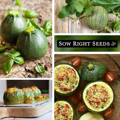 Sow Right Seeds - Round Zucchini Seed for Planting - Non-GMO Heirloom Packet with Instructions to Plant a Home Vegetable Garden - Unique Globe Squash - Summer Vining Variety (1)