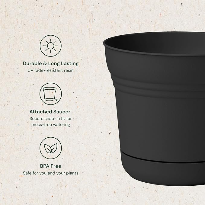 Bloem Saturn 5" Black Round Resin Planter Pot with Snap-in Saucer for Indoor and Outdoor Gardening, 4-Pack