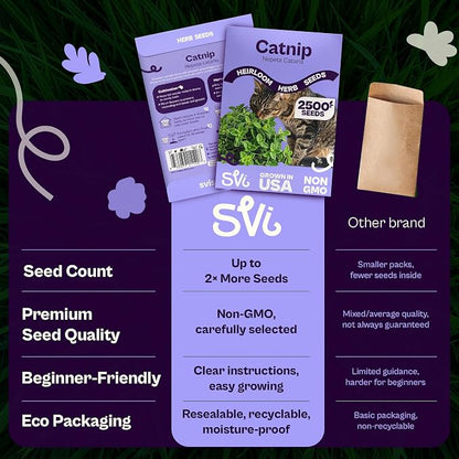 SVI 2500 Catnip Seeds (Nepeta cataria) – Catmint, Best Catnip for Cats Seed Packets, Heirloom Cat Nip Herb Seeds – Outdoor & Indoor Herb Garden, Containers, Herbs Beds