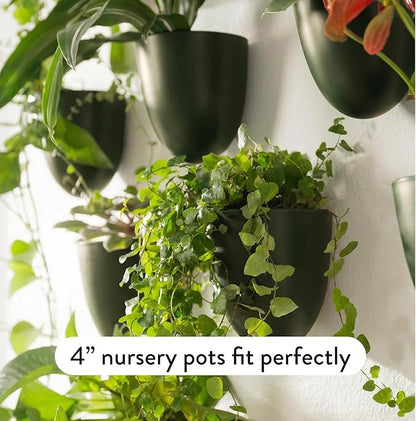 Make Good PlantPod Luxe Self-Watering Wall Planters (Set of 3, Forest Green) - Easy to Water and Install - Lightweight - Design Your Own Vertical Garden - Wall Planters for Indoor Plants