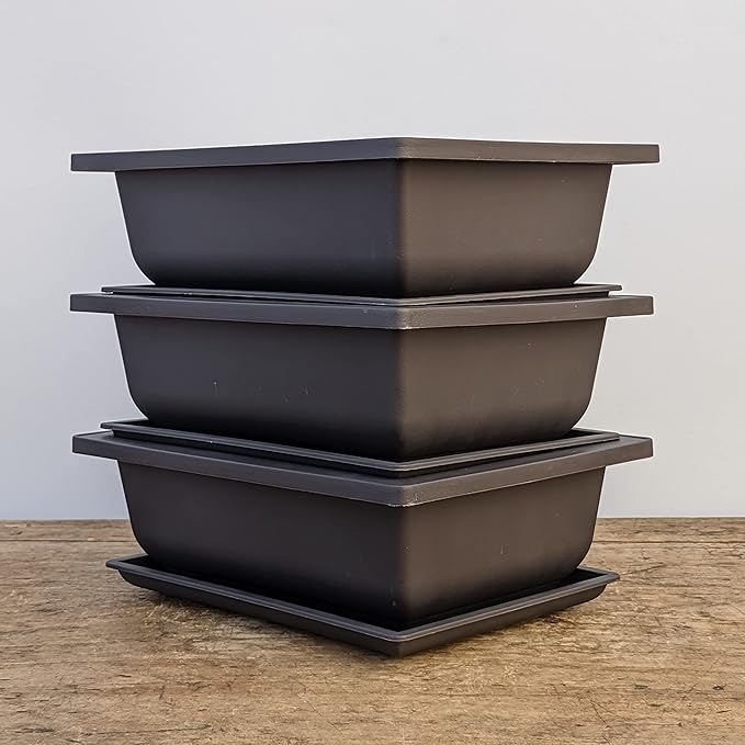 Tinyroots Bonsai Pots with Humidity Trays - Training Planters, Built in Mesh, 6-inch and 8-inch