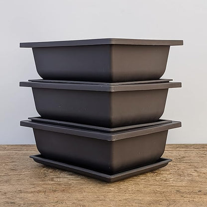 Tinyroots Bonsai Pots with Humidity Trays - Training Planters, Built in Mesh, 6-inch and 8-inch