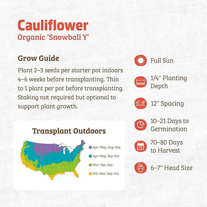 Back to The Roots 100% Organic Heirloom Seeds - Cauliflower Value Pack (1g Total)