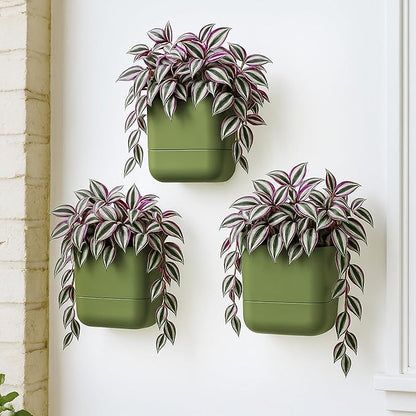 Phoenix Vine 6.5 Inch Wall Mounted Self-Watering Planter Pot for Indoor Houseplants and Herbs | Hanging Planter for Window Sills, Bathroom Walls, Home & Office Décor, Olive, Set of 3, 01-C-F-3