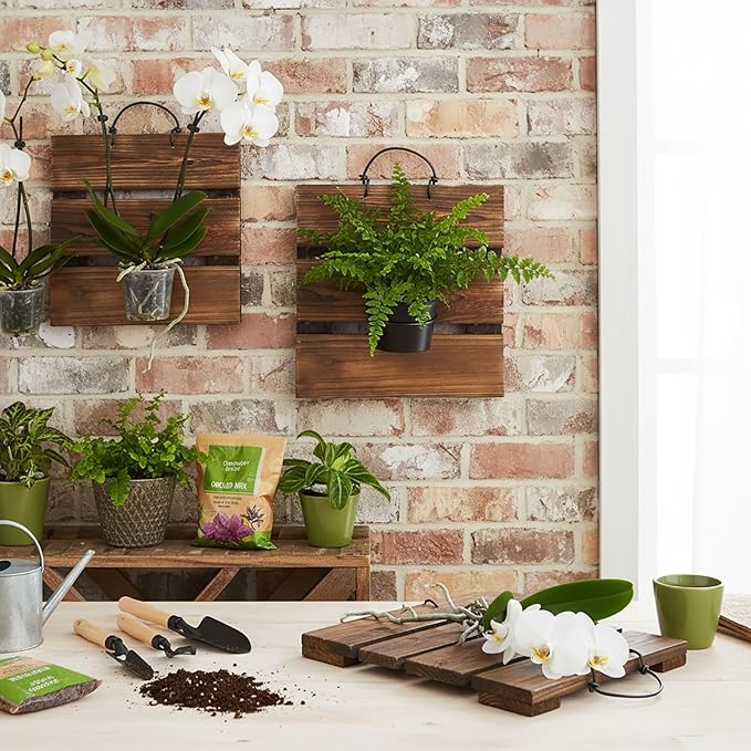 Staghorn Fern Mounting Board Kit Wooden Wall Planter Hanging Plant Holder for Vertical Plant,Platycerium,Orchids,Succulents(Square)
