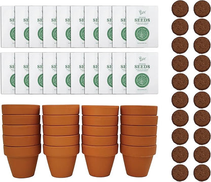 BUZZY Daisy Seeds & Genuine Terracotta 5cm Mini Pot Bulk Pack (20 Count), Includes 20 Each of pots, Soil pellets and Seeds - Great for Favors, Crafts, School Projects - Guaranteed to Grow