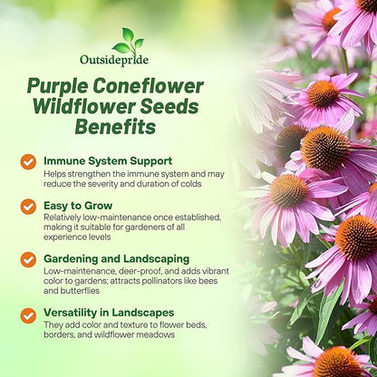 Outsidepride Purple Echinacea Coneflower Seeds - 1 lb Perennial, Deer-Proof & Drought Tolerant Flower Seeds with Daisy-Like Blooms for Pollinator-Friendly Gardens, Borders, & Meadows