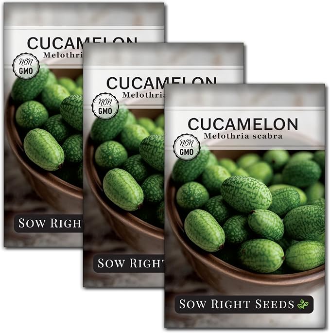 Sow Right Seeds - Cucamelon Seeds for Planting - Non-GMO Heirloom Packet with Instructions to Plant an Outdoor Home Vegetable Garden - Mini Bitter Mouse Melon, Mexican Sour Gherkin - Rare Variety (3)