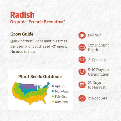 Back to The Roots 100% Organic Heirloom Seeds - Breakfast Radish Seeds for Planting Value Pack (2.8g Total)