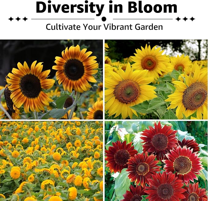 15+ Varieties 5000+ Sunflower Seeds for Planting, 4 Oz Heirloom Sunflower Mix Seeds to Plant (Giant Mammoth, Dwarf) Garden Variety Pack, High Germination, Attracts Pollinators