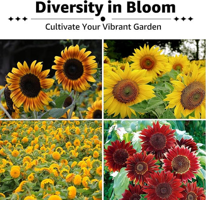 15+ Varieties 5000+ Sunflower Seeds for Planting, 4 Oz Heirloom Sunflower Mix Seeds to Plant (Giant Mammoth, Dwarf) Garden Variety Pack, High Germination, Attracts Pollinators