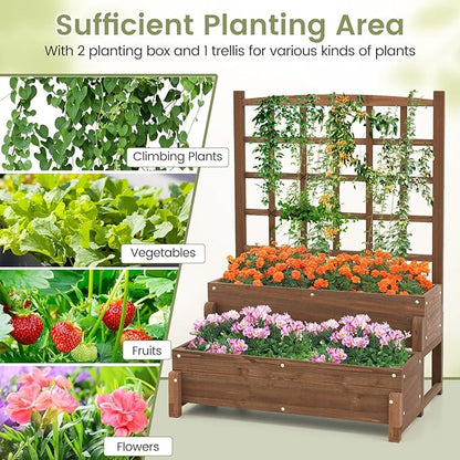 2 Pieces Raised Garden Bed with Trellis, 2-Tier Wooden Elevated Planter Box with Legs, Hemp Rope & Drainage Holes, Raised Plant Bed for Backyard, Garden, Lawn