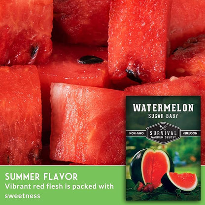 Sugar Baby Watermelon Seeds - Grow Little Round Icebox Watermelons at Home - Non-GMO Heirloom Variety for Planting - Survival Garden Seeds (3 Pack)