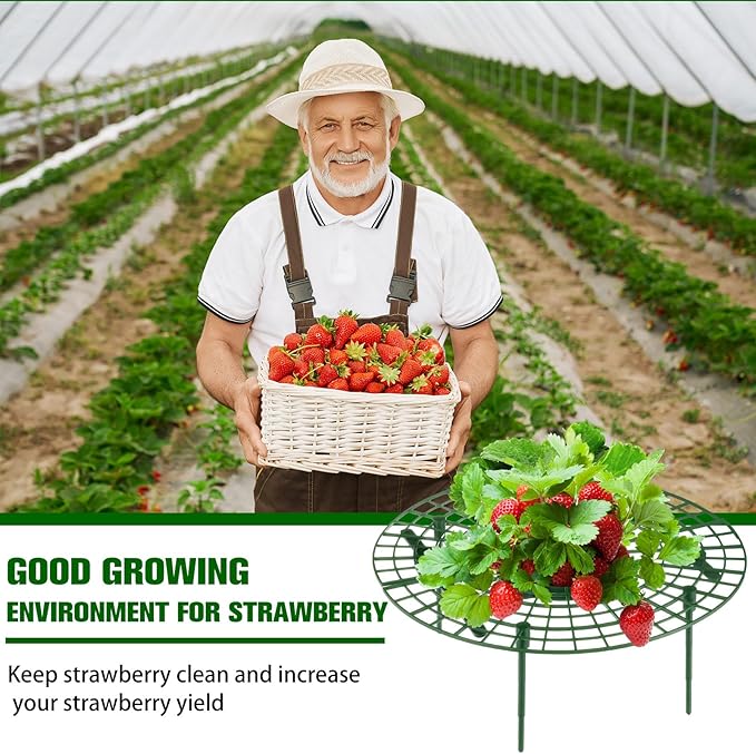 Irenare 24 Pack Strawberry Plant Support with Plant Labels Large Size Strawberry Growing Racks Growing Frame Stand Holder for Keeping Garden Strawberry Clean