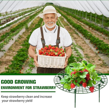 Irenare 24 Pack Strawberry Plant Support with Plant Labels Large Size Strawberry Growing Racks Growing Frame Stand Holder for Keeping Garden Strawberry Clean
