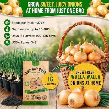 Onion Walla Walla Seeds Pack 1G - Over 275 Non-GMO Heirloom Onion Seeds for Planting Vegetables in Individual Seed Packet, Vegetable Seeds for Planting Home Garden Indoor & Outdoor Gardening