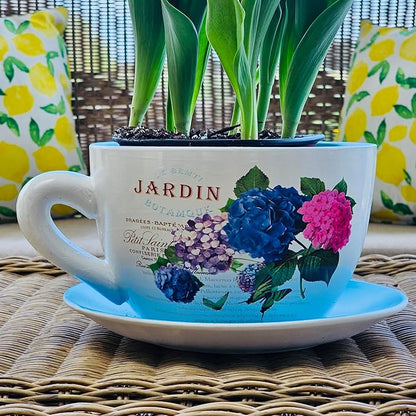 7.5" Ceramic Teacup Planter Pot with Saucer | Ideal for Succulents, Orchids, Herbs & Flowers | Indoor Use| Thoughtful Gift for Christmas, Birthday & More – Blue Hydrangea Jardin