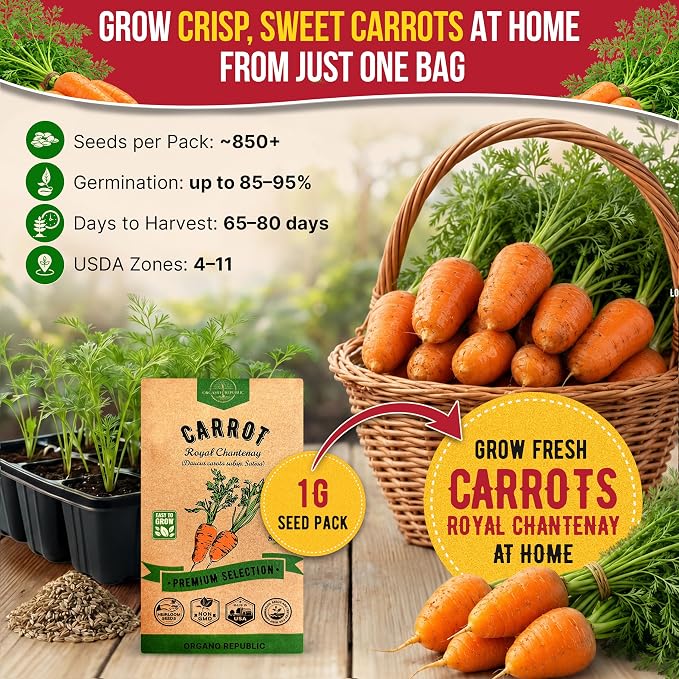 Organo Republic Carrot Royal Chantenay Seeds Pack 1G - Over 850 of Non-GMO Heirloom Carrot Seeds for Planting Vegetables in Individual Seed Packet, Vegetable Seeds for Planting Indoor & Outdoor Garden