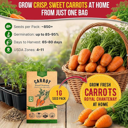Organo Republic Carrot Royal Chantenay Seeds Pack 1G - Over 850 of Non-GMO Heirloom Carrot Seeds for Planting Vegetables in Individual Seed Packet, Vegetable Seeds for Planting Indoor & Outdoor Garden