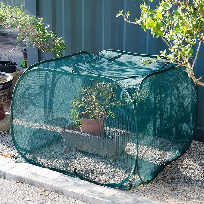 ANC POP 2 Pack Pop Up Mesh Plant Cover,40'' x 40'' x 30'' Plant Protector for Raised Garden & Flower Bed, Net Cage Plant Guard for Fruits, Vegetables, Seedlings and Herbs, 8 Ground Stakes for Fixing