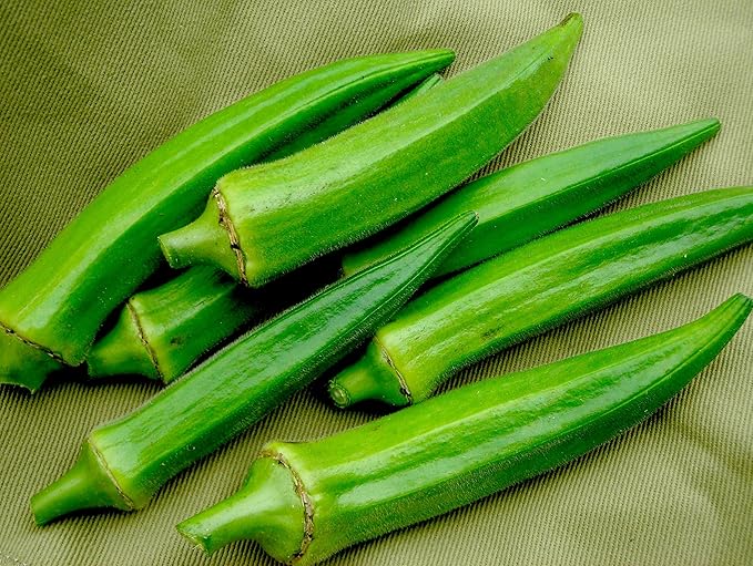 Seeds Louisiana Green Okra (Bamia, Lady Finger) Heirloom Vegetable Non GMO