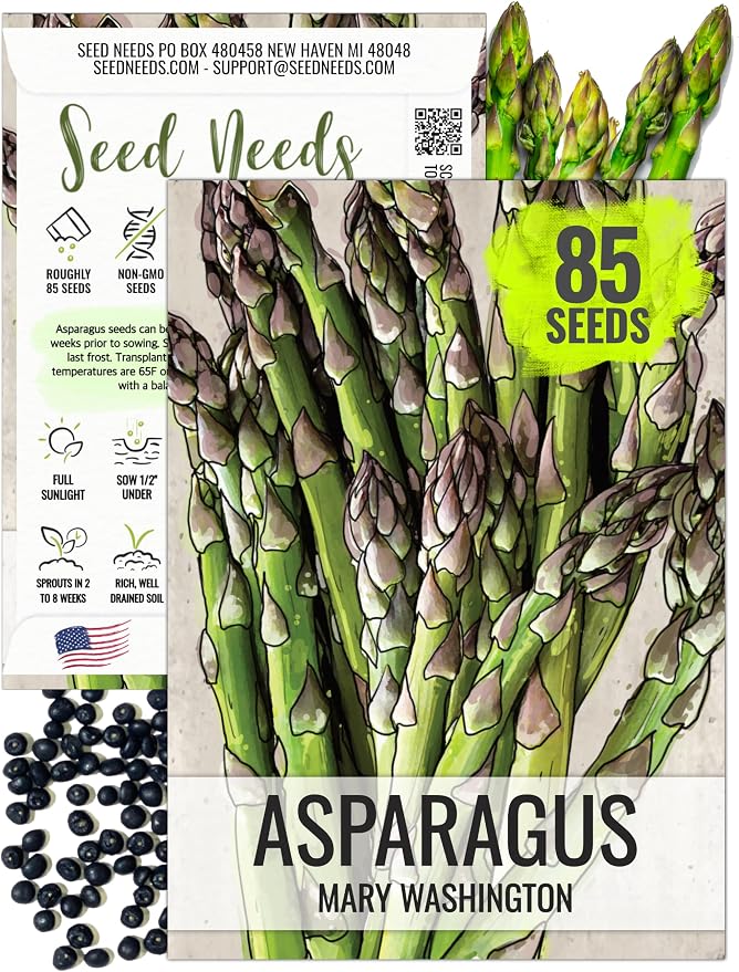 Seed Needs Mary Washington Asparagus Seeds to Plant Heirloom 1 Pack
