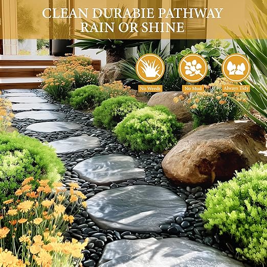 9lb Black River Rocks for Plants, 1-3 Inch Pebbles for Indoor Plants, Polished Garden Rocks Outdoor Landscaping, Decorative Stones for Vases, Succulents, Aquarium, Walkways