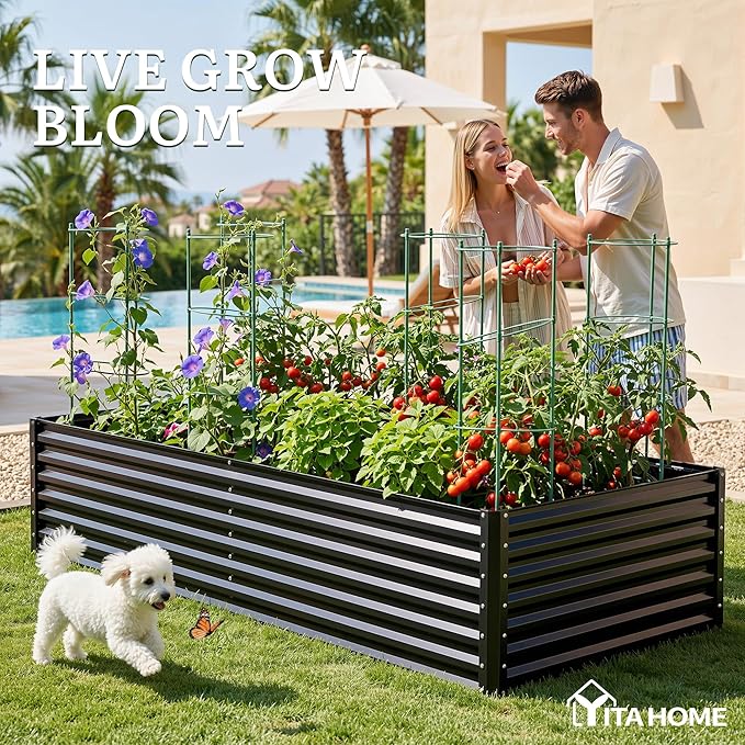YITAHOME 2pcs 8x4x2ft Galvanized Raised Garden Bed with Tomato Cages, Galvanized Planter Box with Tomato Trellis, Gloves, Support Rod, Outdoor Flower Bed for Climbing Plants, Vegetables, Flower, Black