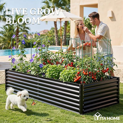 YITAHOME 2pcs 8x4x2ft Galvanized Raised Garden Bed with Tomato Cages, Galvanized Planter Box with Tomato Trellis, Gloves, Support Rod, Outdoor Flower Bed for Climbing Plants, Vegetables, Flower, Black