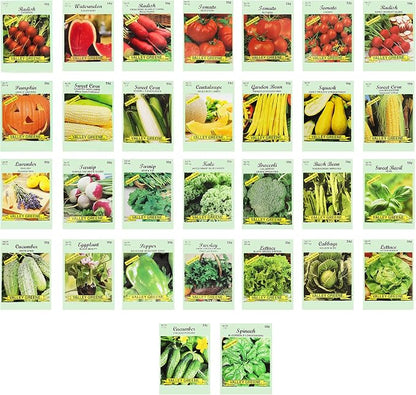 Set of 30 Vegetable and Herb Seeds - Semi Assorted - 100% Non-GMO & Heirloom - Great for Starting a Garden! High Germination Rate! (30)