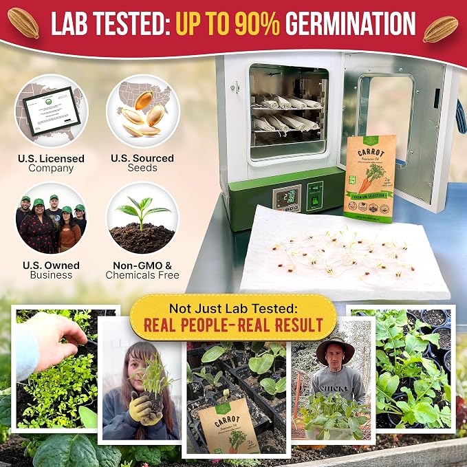 Organo Republic Imperator 58 Carrot Seeds Pack 2G - Over 1800 of Non-GMO Heirloom Carrot Seeds for Planting Vegetables in Individual Seed Packet, Vegetable Seeds for Planting Indoor & Outdoor Garden