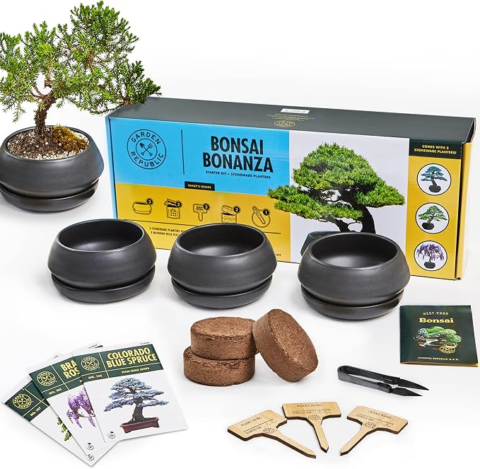 Garden Republic Bonsai Tree Kit - Mini Bonsai Seeds, 3 Types with Stylish Stone Pots, Pruning Shears Tool, Plant Markers, Wood Gift Box, and Potting Soil