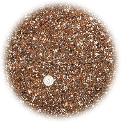 Gardenera Professional Carnivorous Plant Soil - Ready to Use for Venus Flytraps, Sundews, Pitcher Plants, Butterworts | Peat Moss, Coco Coir, Perlite - 20 Quart