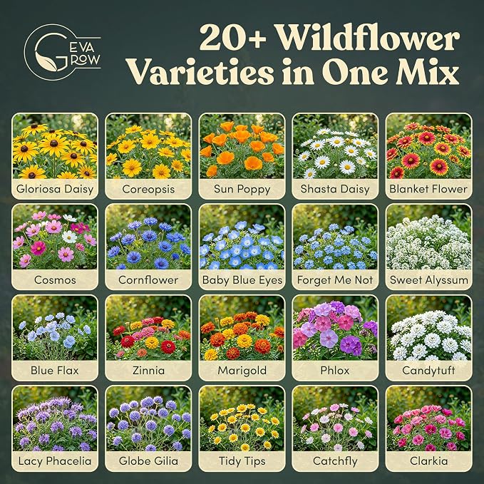 Wildflower Seed Shaker – Annual Mix by GevaGrow | 17 Variety Flower Seeds for Planting in Pots & Outdoor Gardens, Bulk 300,000+ Seeds - 1 Pound Tub
