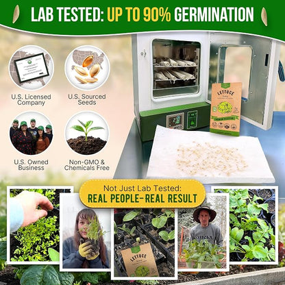 Lettuce Iceberg Seeds Pack 3G - Over 3,100 Non-GMO Heirloom Lettuce Seeds for Planting Greens in Individual Seed Packet, Greens Seeds for Planting Home Garden Indoor & Outdoor Gardening