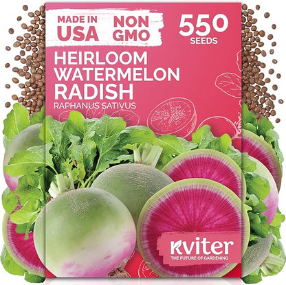 KVITER 550 Watermelon Radish Seeds (Raphanus Sativus) - Red Meat Radish Seed Packets, Mild Sweet Flavor, Heirloom Seed - Annual Vegetable Seeds for Outdoor Garden, Raised Beds, Containers