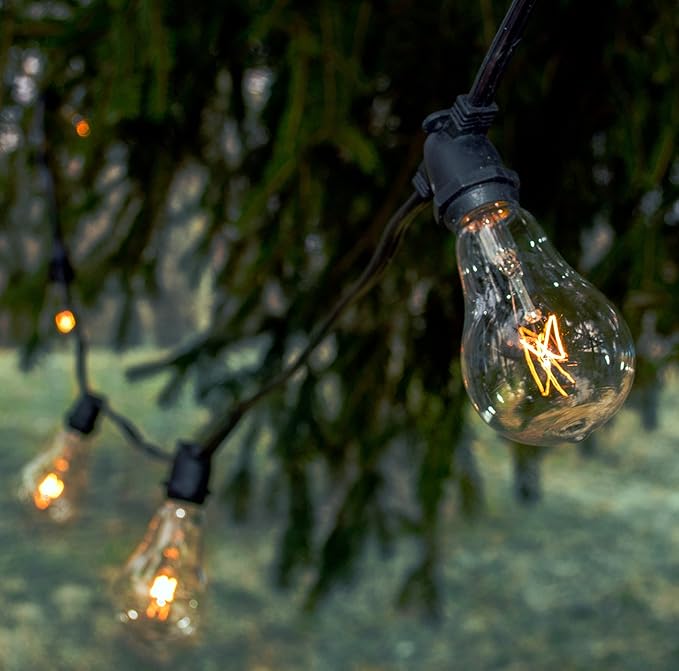 Hometown Evolution, Inc. Commercial Grade Vintage Edison Outdoor String Lights (PS50 Clear - Commercial Black Wire, 25 ft)
