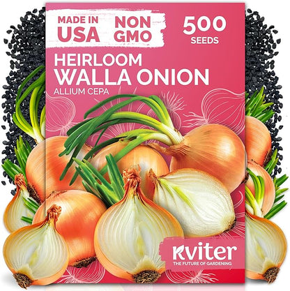 KVITER 500 Walla Walla Onion Seeds for Planting (Allium cepa) – Long Day Sweet Onions Gardening Seeds – Non GMO Heirloom Vegetable Seed Packets, Outdoor & Indoor Gardening, Home Garden, Raised Beds