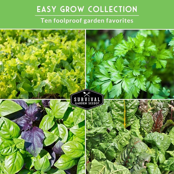 Easy to Grow Vegetable & Herb Seed Collection - 10 Packs of Non-GMO Heirloom Open-Pollinated Veg & Herb Essentials for Gardening Beginners - Seed Saver Instructions on Packets - Survival Garden Seeds