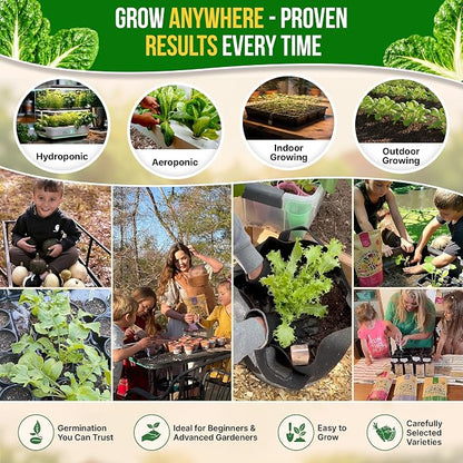Organo Republic Swiss Chard Fordhook Seeds Pack 3.75 g - Over 200 Non-GMO Heirloom Swiss Chard Seeds for Planting Greens in Individual Seed Packet, Greens Seeds for Planting Indoor & Outdoor Garden