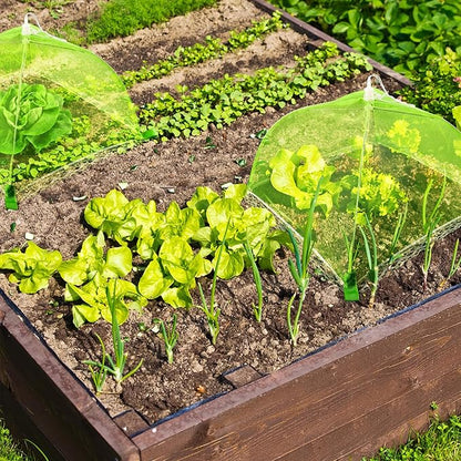 8 Sets Strawberry Plant Support with Mesh Plant Cover,Strawberry Growing Racks Sets with Iron Plant Nails for Garden Strawberry Vegetables
