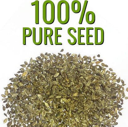 Seed Needs Rainbow Mixed Carrot Seeds to Plant Heirloom & Non-GMO 5 Packs