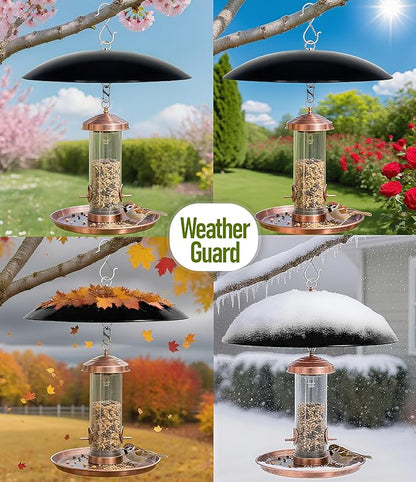 10" Mini Bird Feeder Rain Guard, Hummingbird Feeder Shade Dome Cover, for Small Feeders, Works with Ant Guards (Black), 2 Pack